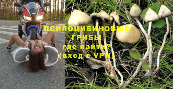 твердый Белоозёрский