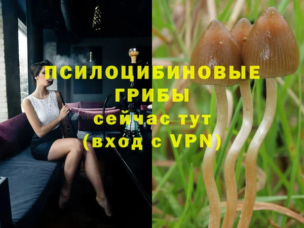марихуана Беломорск