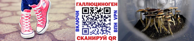 мега сайт  Крымск  Псилоцибиновые грибы Magic Shrooms 